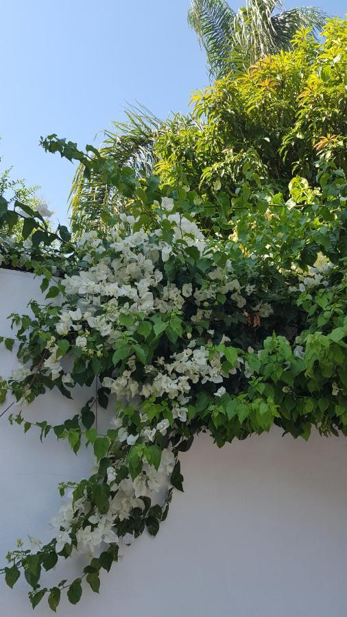 Apartamento Villaplaya Malaga Centro Kültér fotó